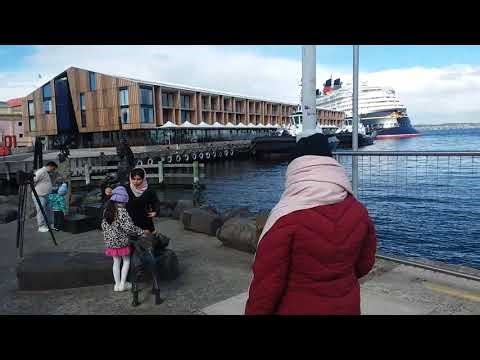 Last day of Tasmaniya Visit 7: Observing the environment near the Arthur Historic site.