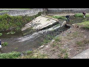 [田んぼの準備] 井堰上げ