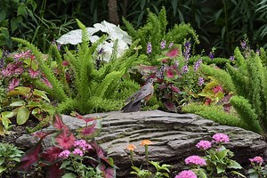 Small Space: Big Impact - Smithsonian Gardens