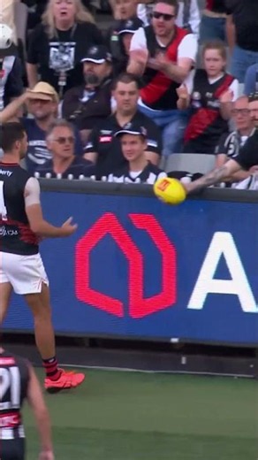 When fans troll the opposition 😳 #afl #footy #fans #crowd #trolling