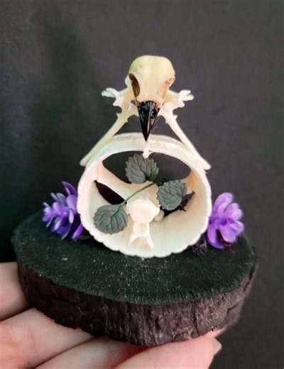 Raven Bone Oddity Decor: Resin bird skull, real armadillo & python vertebrae (sustainably sourced)