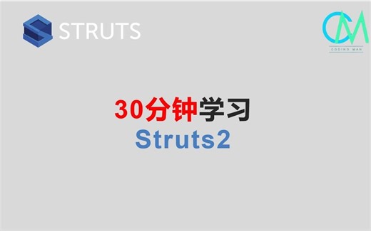 30分钟学习Struts2 #java #struts2