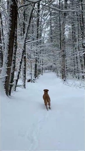 "Defending My Enemy" - Quote by Aryeh Neier, from 'Defending my Enemy'