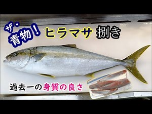 Filleting Hiramasa [Full Process] The Most Delicious Size of 6.7kg and How to Identify Hiramasa