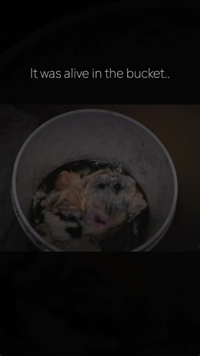 he was keeping it in his closet mask😷 #horror #scary #lifeofluxury