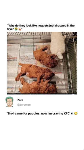 I Honestly Thought These Were Chicken Nuggets! 🍗😭
