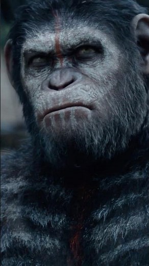 A Scene From Dawn Of The Planet Of The Apes