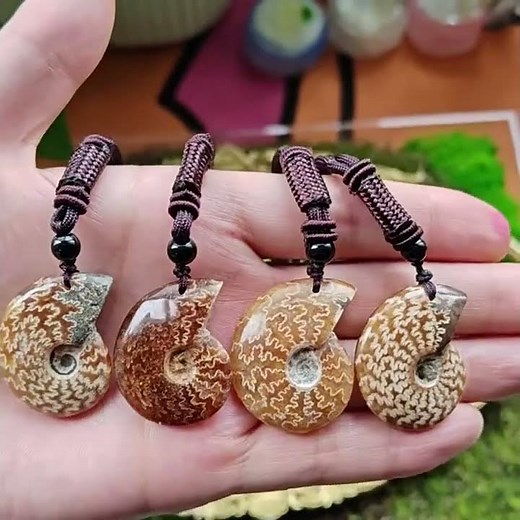 Fossil Ammonite Pendant Showcase — Now Available! 🌀✨