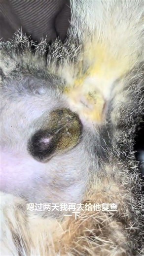 How Iodophor Helps Heal Wounds - A Must-See