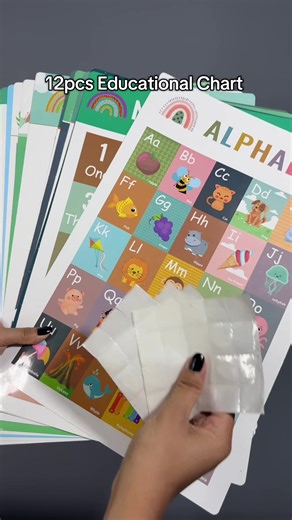 12pcs Educational Chart Poster for Learning