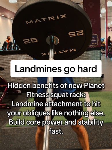 Hidden Benefits of Planet Fitness Squat Racks