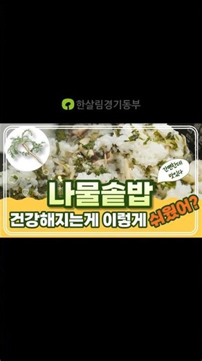 건강해지는 게 이렇게 쉬웠어?" 봄나물 솥밥