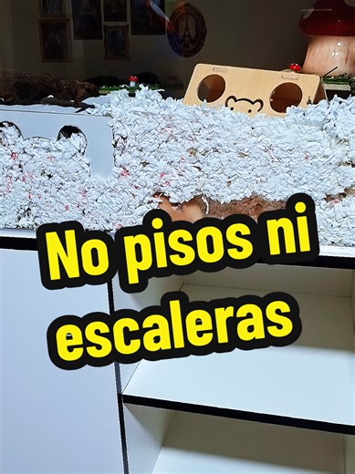este es un comentario que se repite mucho y la verdad es que es un error muy común, una jaula de muchos pisos no significa que es mejor #hamster #hamsteroftiktok #terrario #fyp #paratiiiiiiiiiiiiiiiiiiiiiiiiiiiiiii