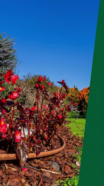 💧🌿 Where functionality meets design. Introducing the new Armonia® line by Irritec—the sustainable irrigation solution designed for gardens, terraces, home vegetable gardens, and vineyards. Find out more 👉 https://irritec.com/armonia #armonia #irritec #irrigation #landscaping #gardendesign #greendesign #landscapedesign #gardens #gardening #terraces #balconies #vineyard #landscape | Irritec