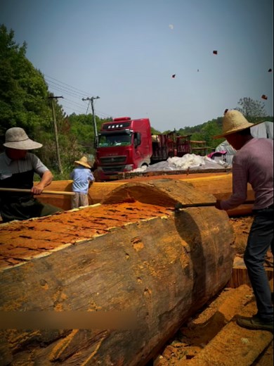 Charpente chinoise : assemblage millénaire sans clou
