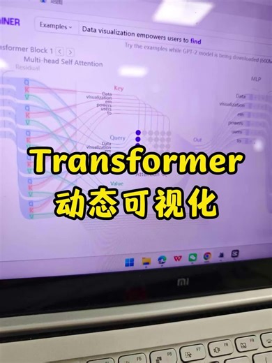 Tranaformer可视化工具 可视化全过程