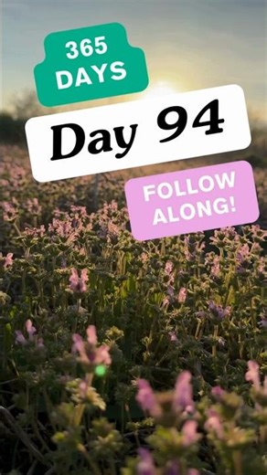 365 Day Daily Scriptures & Prayers | Day 94 – A Prayer for Hope in God