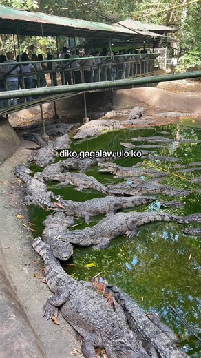 Field Trip Adventure in Subic, Zambales