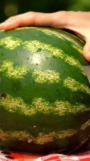 EDUCATIONAL AI VIDEO BY [FS FORKAN]