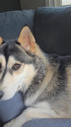 Bolynn 🖤 | Rayna Rose