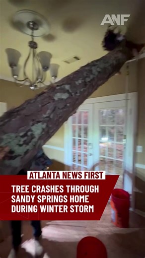 One person was injured when a tree fell through a home in Fulton County on Sunday, according to the Sandy Springs Police Department. The person was taken to the hospital with non-life-threatening injuries.