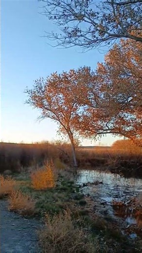 heavenly sunset #music #sunset