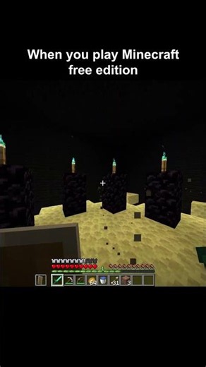 When you play Minecraft Free Edition
