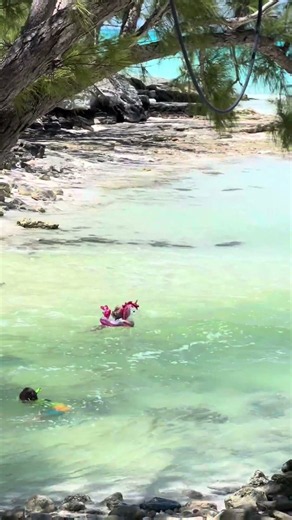 Day 1 of 10 secret spots in the Bahamas! Follow for more