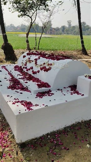 हजूरा बाबा की वीडियो को इग्नोर मत करना🤲🤲 #makhdoom #ajmer #khwajagaribnawaz