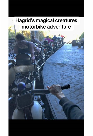 Amazing Hagrid’s Magical Creatures Ride Experience