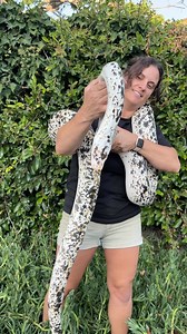 This is one of our beautiful cow reticulated pythons🤩 On top of being just absolutely gorgeous she is also a very sweet snake🥰 She is very used to being handled and we love her here at the zoo😁 | The Reptile Zoo