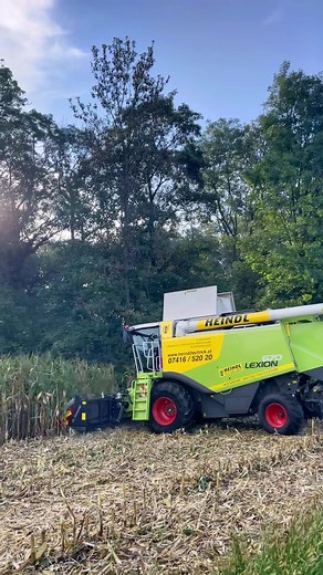 2022 Claas Lexion 670 Corn Harvest