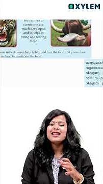 Class 7 Basic Science : Important Questions | Xylem Class 7