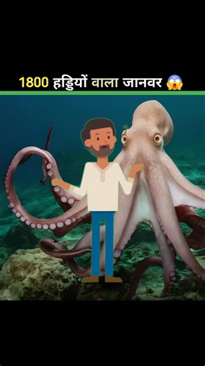 Python vs King Cobra vs Octopus | Top 3 Shocking Animal Facts 😱 #shorts #facts