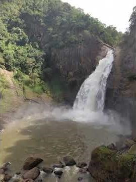 Dunhinda Waterfall Badulla | Sri Lanka’s Most Beautiful Waterfall 🌊 #travel #shortvideo