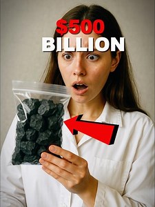 This Forest Worth $500 Billion 🗿