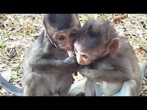 Have a great weekend everyone from Amber troop!