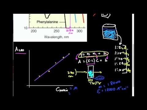 Detecting Proteins at 280 nm by UV-Vis: Why? How?