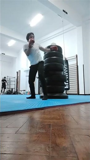 Kick, Punch, Elbow and Knee The Bag 107