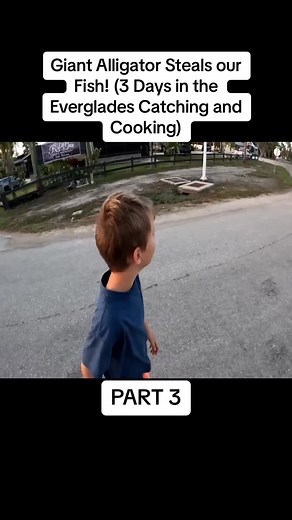 Bluegabe videos on TikTok