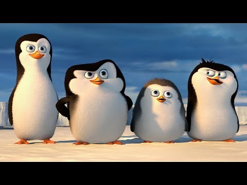 Казакша мультфильм | Мадагаскар Пингвиндері | Пингвины из Мадагаскара