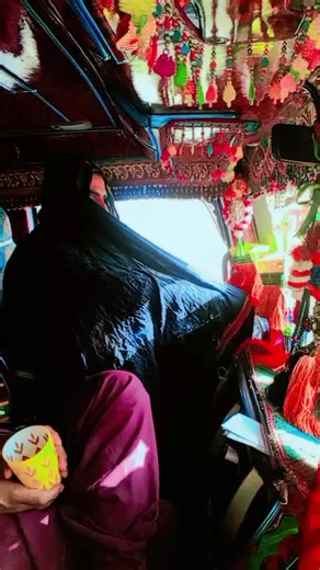 Vibrant Vehicle Interior Decorations Showcase