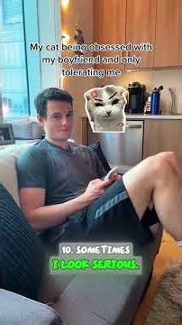 How Cats Claim Their Humans | Real Cat Behavior Explained #cutecats #cutepet #catlovers