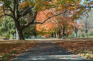 29 reactions · 4 comments | Harford Community College occupies 352 acres, has 24 buildings, and 1 goal: to serve the higher education needs of the community. We’re proud of our beautiful campus in any season! ❄️☀️ | Harford Community College | Facebook