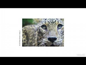 Tutoriel Mise en page : Comprendre les principes de composition | video2brain.com