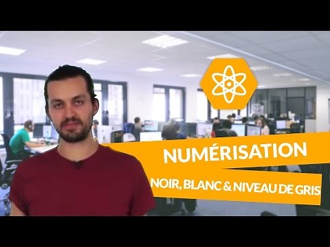 Numérisation d'une image - Le codage noir & blanc, niveau de gris - Physique-Chimie - Terminale S