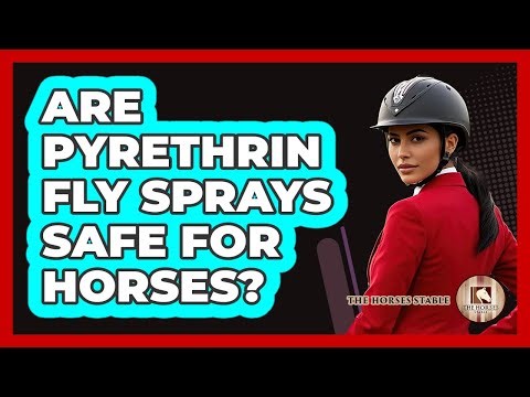 Are Pyrethrin Fly Sprays Safe For Horses?