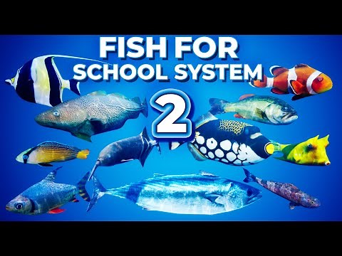 Fish for School System V2