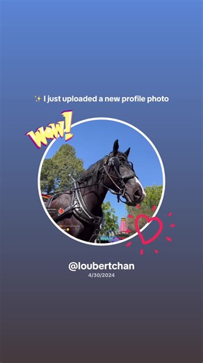 Nobody important 🦁🦈 (@loubertquackpack)’s videos with original sound - Nobody important 🦁🦈