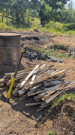 Why do we split bamboo before pyrolysis? #biochar